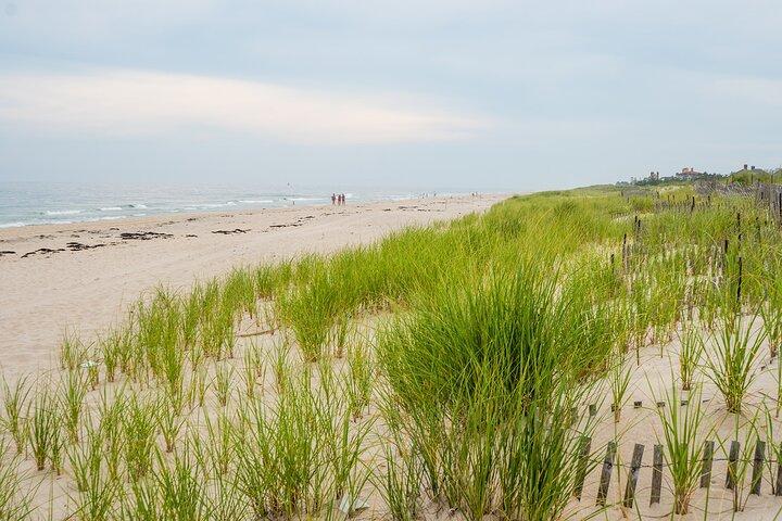 Hamptons, Sag Harbor & Outlet Shopping, 1-Day Tour from NYC