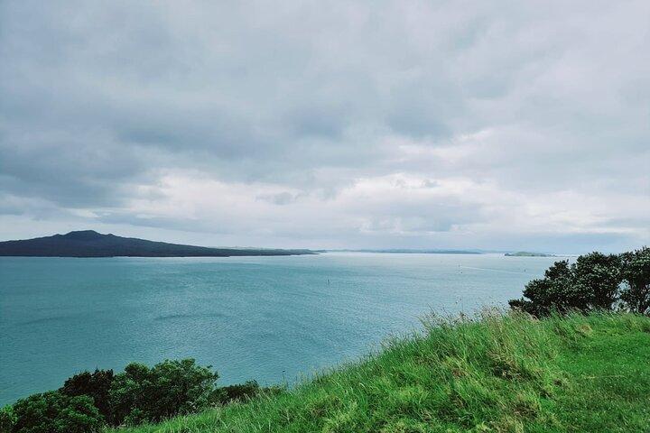 Amazing Auckland City Half Day Guided Tour