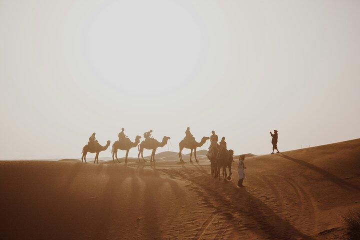 Doha Desert Safari Quadbike Dune Bashing Camel Ride Island Sea