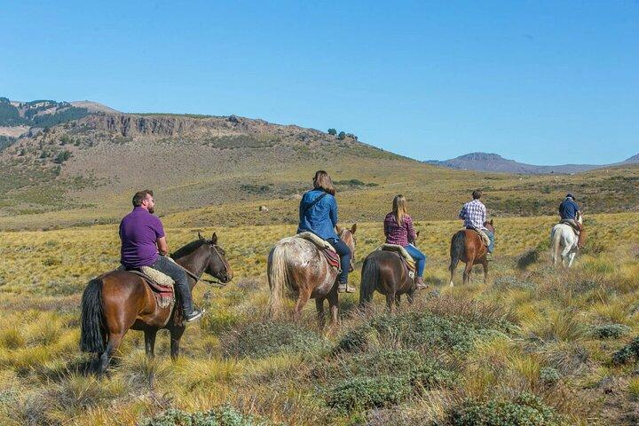 Bariloche Horseback Riding in the Patagonian Steppe with Argentine Roast