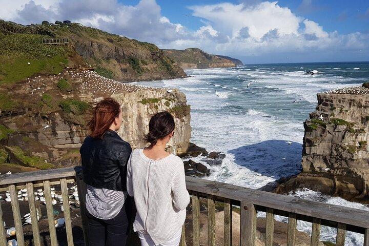 [PRIVATE] Haka to Waves Auckland West Coast Journey