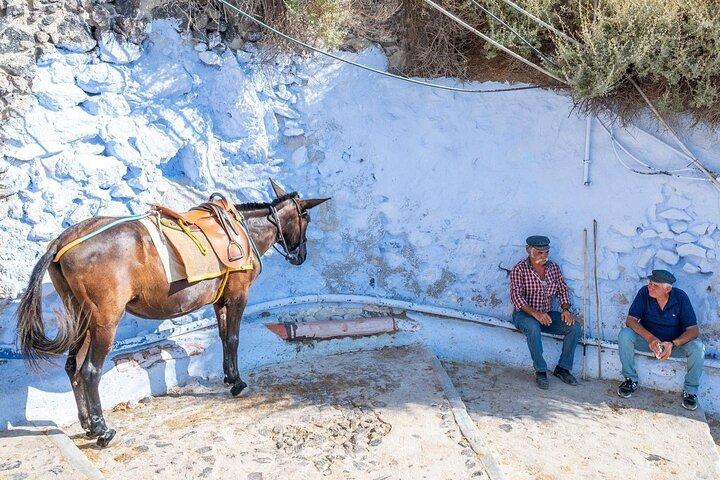 Santorini Absolute Day Tour: Explore the Island in One Day