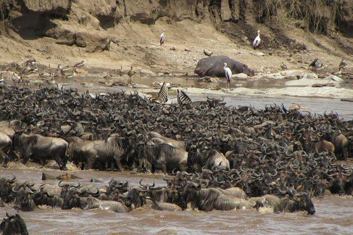 3 Day Serengeti And Ngorongoro Safari Adventure
