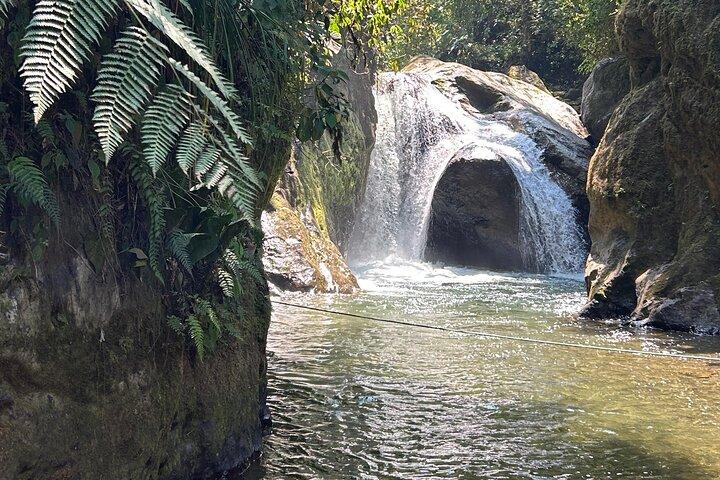 Full Day Mindo - Cloud Forest from Quito