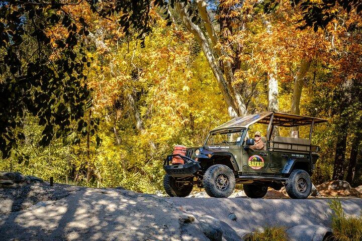Oak Creek Canyon Scenic Jeep Tour: Smooth Route 89A Views