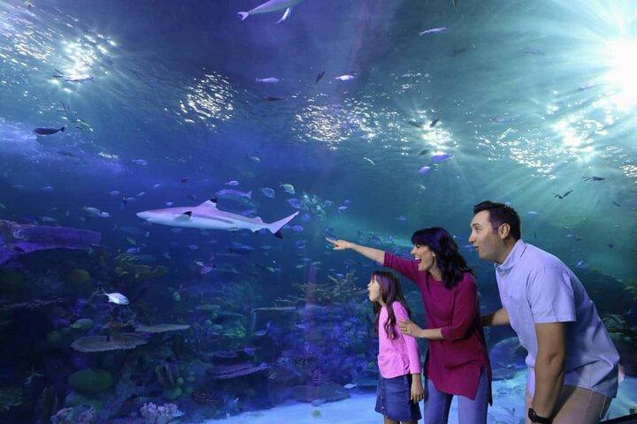 Aquaria KLCC Admission Ticket with One-Way or Round-Trip Transfer