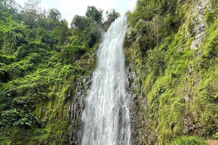 Materuni Waterfalls & Coffee Tour with Optional Hot Springs