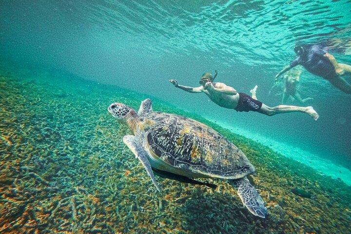 Ko Tao: Ko Nangyuan & Hidden Bays Snorkeling Tour with Lunch