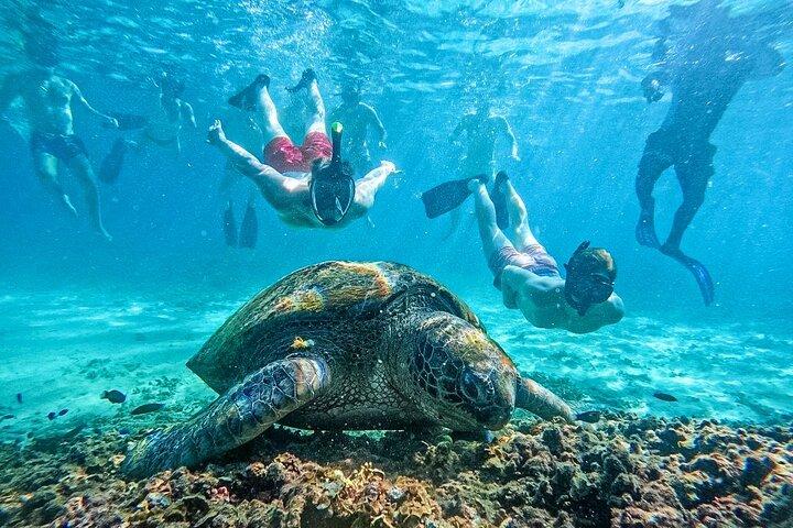 Ko Tao: Ko Nangyuan & Hidden Bays Snorkeling Tour with Lunch