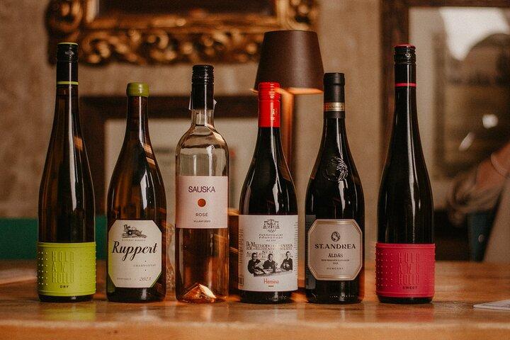 Food and Wine Tasting in Budapest City Center with Sommelier