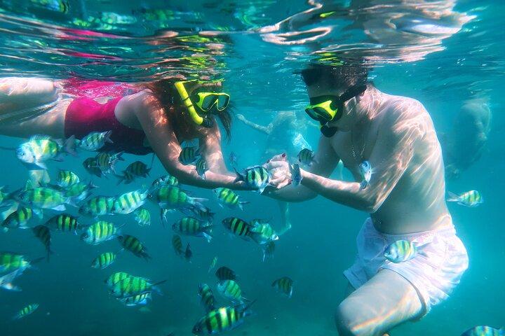 Phuket 3 Khai Island Speedboat With Snorkeling (Half or Full Day)