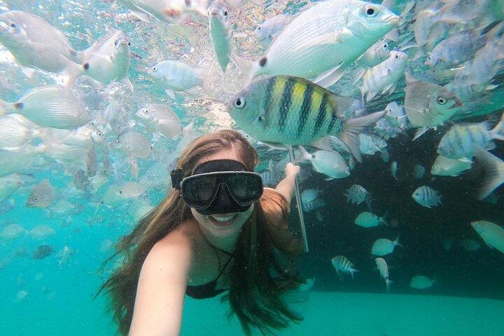 Full Day Tour to Angra dos Reis and Grand Island