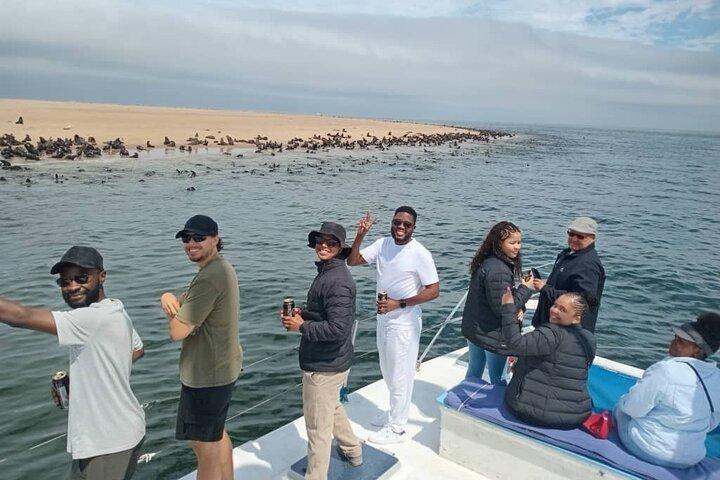 Dolphin and Seal Catamaran Cruise