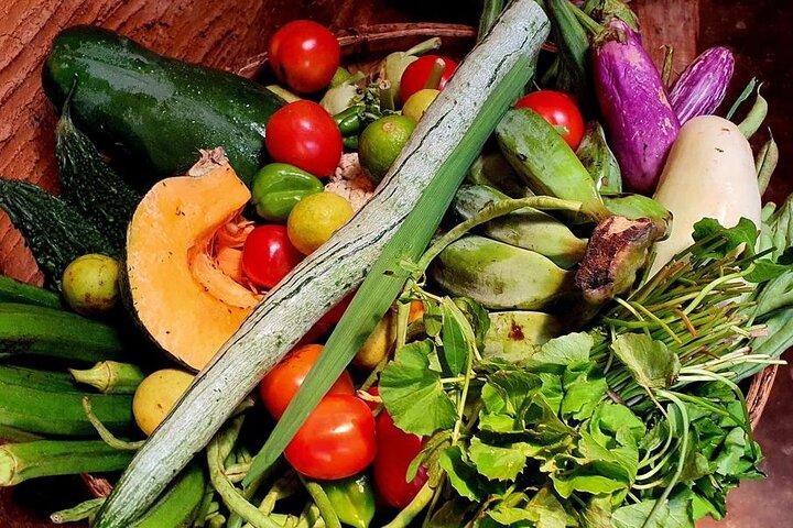 Galle Village Cooking Class by AGS
