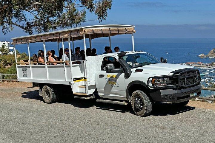 Catalina Island City and Scenic Mount Ada Tour