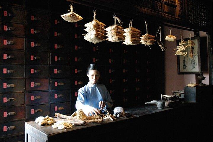 Vietnam: Fito Museum Featuring Traditional Medicine