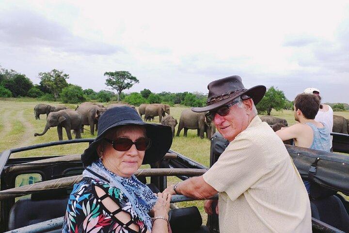 Minneriya National Park Safari [private , full package]