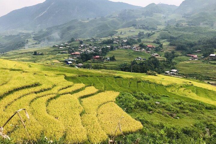 3D2N Sapa Trekking and Homestay Tour from Hanoi