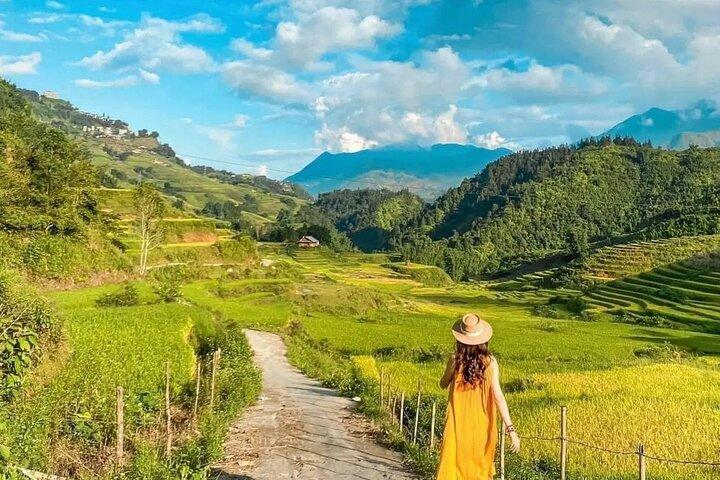 3D2N Sapa Trekking and Homestay Tour from Hanoi