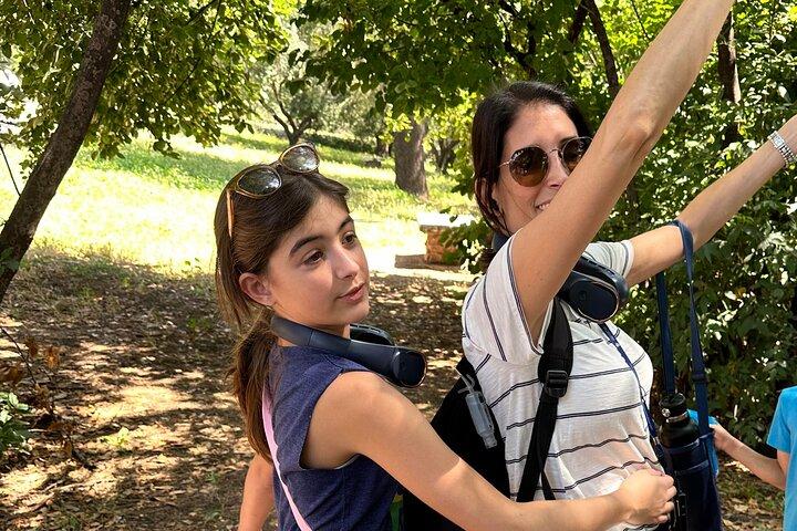Kids-Tailored Tour of the Colosseum Roman Forum & Palatine Hill