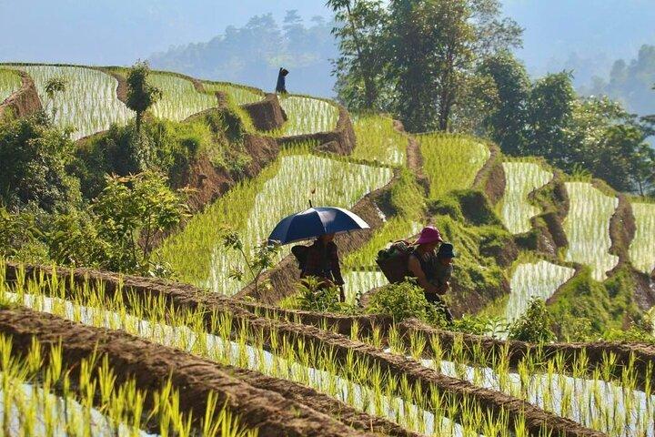 Karst Plateau Geopark Tour 3 Days 2 Nights From Hanoi