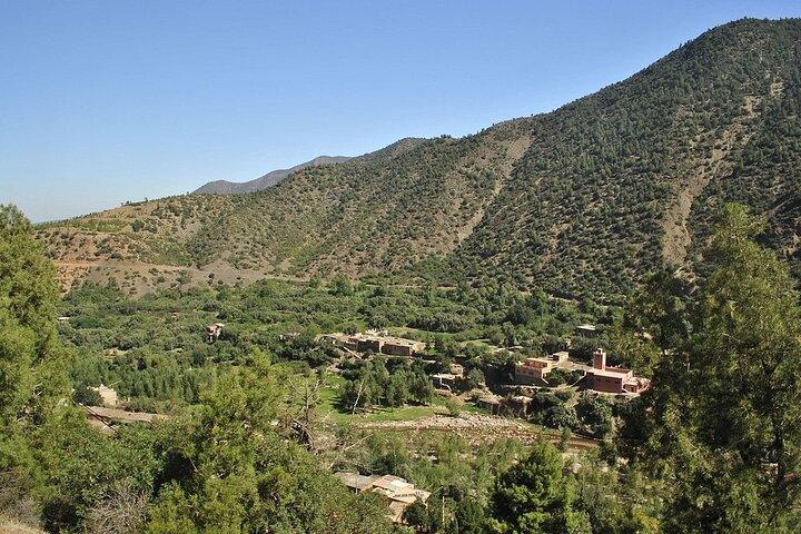 Marrakesh: Atlas Mountains Ourika Valley waterfall & Guide
