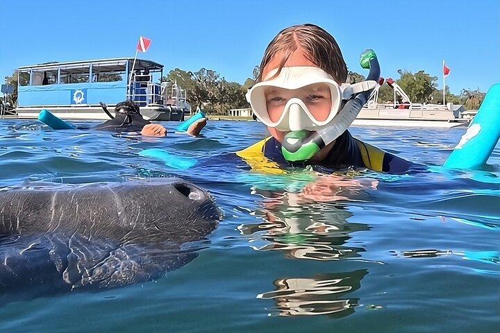 3 Hour Small Group Manatee Swim Heated Boats Free Photos All Inc