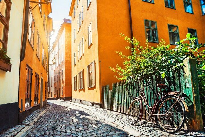Stockholm Tour from Cruise Port with Vasa Museum and Old Town