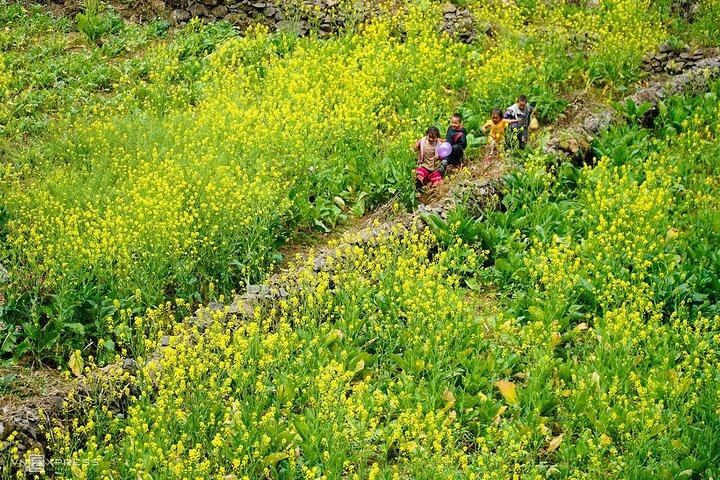 4 Days 3 Nights Ha Giang Loop Group Tour from Hanoi