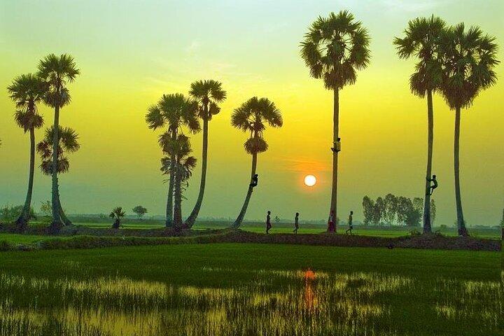 3-day The Heart of Mekong Delta: Can Tho -Chau Doc