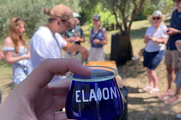 North Corfu Olive Tour With Olive oil Tasting & Meze