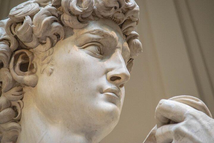 David & Accademia Gallery Florence Private Tour with Local Guide