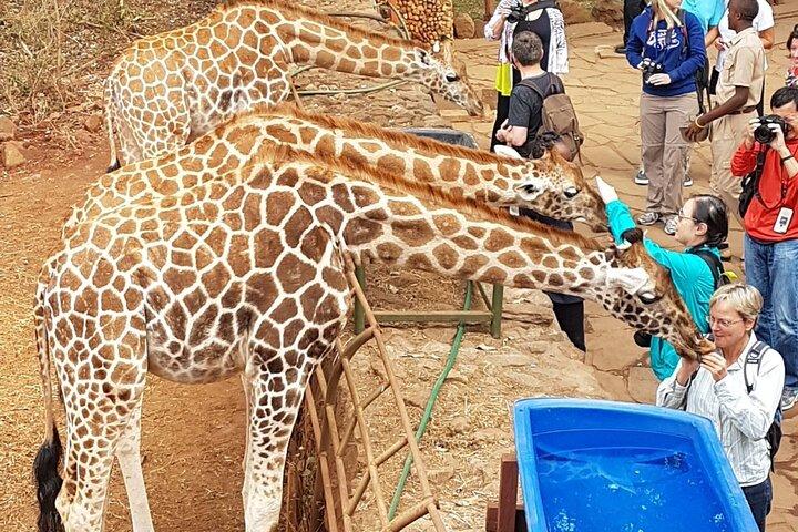 Nairobi Hidden Gems A Shared Tour Experience