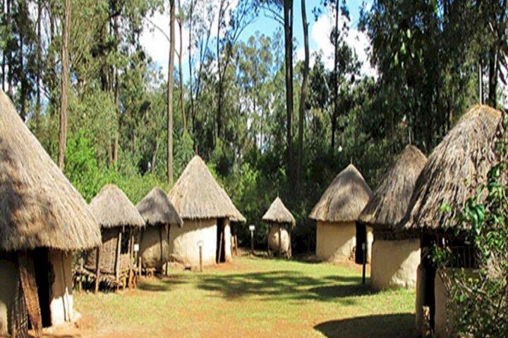 Day tour to Kibera Slums and Bomas of Kenya