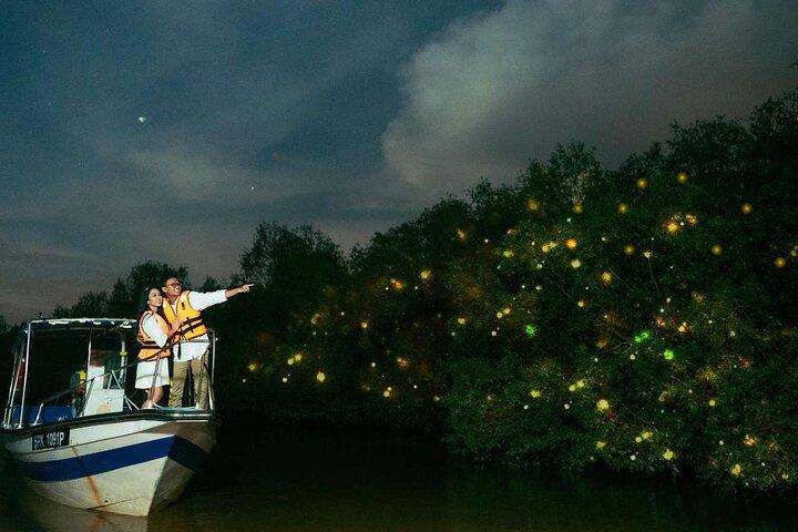 Kuala Lumpur Famous Landmarks & Kuala Selangor Fireflies Tour