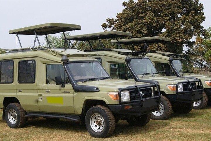 9 Days Kenya Classic Lodge Safari