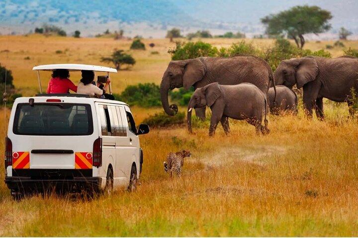 9 Days Kenya Classic Lodge Safari