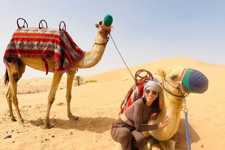 Abu Dhabi: Private Camel Trekking Experience