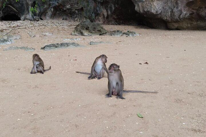 Phang Nga Bay Island Boat Tour By Speedboat By Phuket Sail Tours