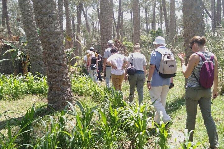 Private Day Tour to Dahshour and Meidum