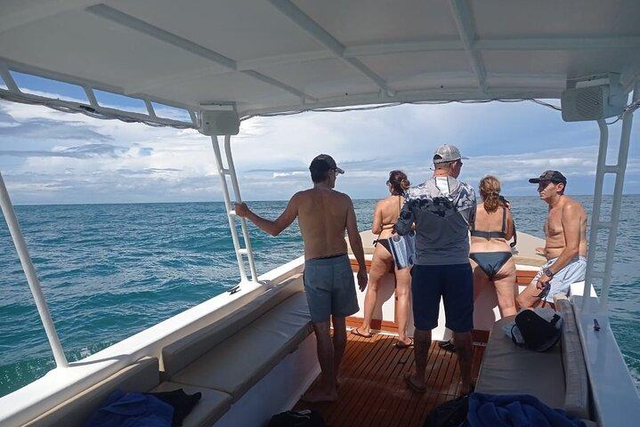 Snorkeling with whale and dolphin waching, Tour Manuel Antonio