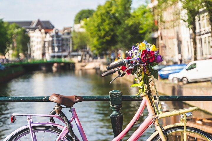 Spanish Guided Amsterdam Canal Cruise Tour