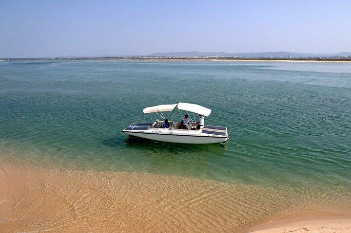 Birdwatching in Ria Formosa - Eco Boat Tour from Faro