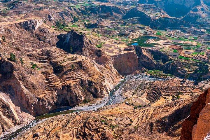 From Arequipa: Conventional 2-Day Colca Canyon Tour