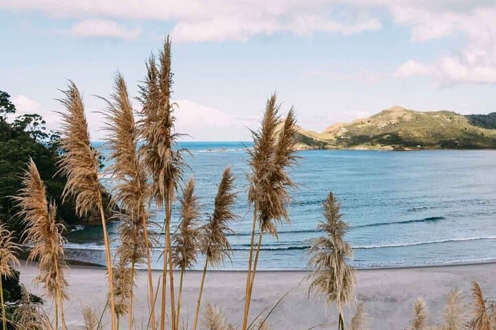 Auckland Region | Island Hopper Package Tour (2 Guests Minimum)