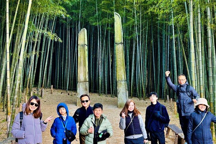 Busan Private Tour with Licensed Local guide