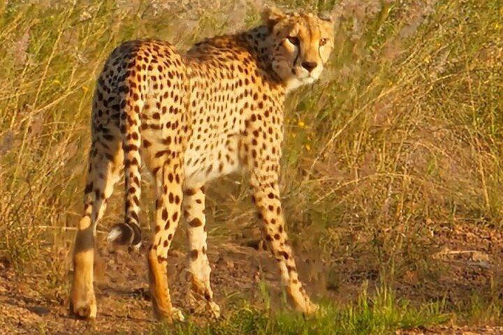 3 Days Masai Mara Experience
