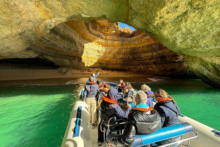 Benagil and Dolphin Watching Boat Tour with Marine Biologists