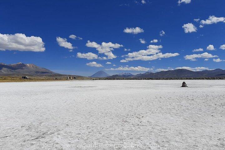 From Arequipa: Salinas Lagoon Half Day Tour