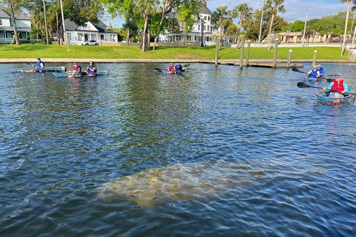 Manatee Season Clear Kayak Tour of Tarpon Springs